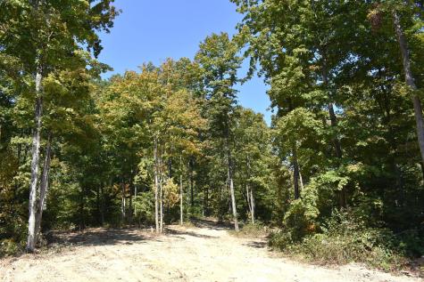 0 Goat Hollow Estates Lot 1 Martinsville IN 46151