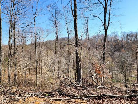0 Goat Hollow Estates Lot 1 Martinsville IN 46151