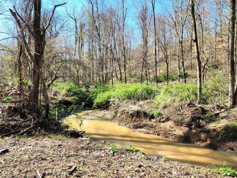0 Goat Hollow Estates Lot 1 Martinsville IN 46151
