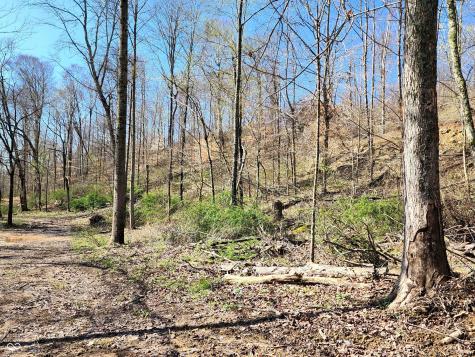 0 Goat Hollow Estates Lot 1 Martinsville IN 46151
