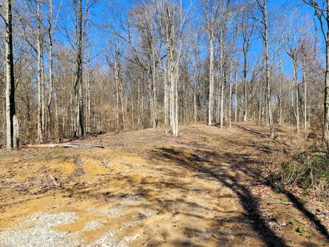0 Goat Hollow Estates Lot 1 Martinsville IN 46151