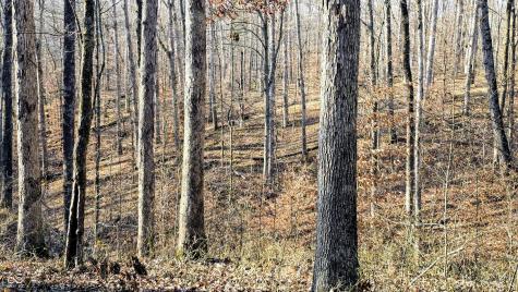 7000 W County Road 1150 N Freetown IN 47235