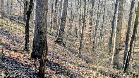 7000 W County Road 1150 N Freetown IN 47235