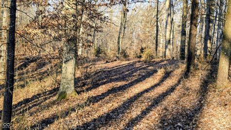 7000 W County Road 1150 N Freetown IN 47235