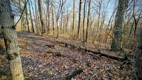 7000 W County Road 1150 N Freetown IN 47235