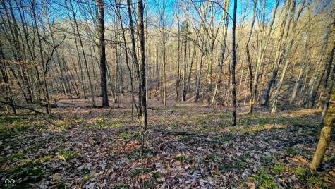 7000 W County Road 1150 N Freetown IN 47235