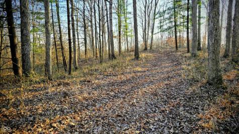 7000 W County Road 1150 N Freetown IN 47235