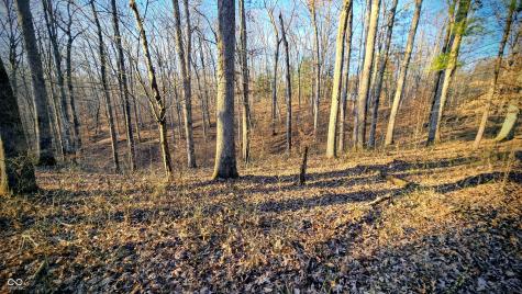 7000 W County Road 1150 N Freetown IN 47235