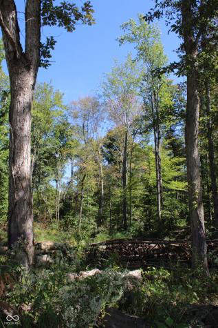Tract 10 7530 W Private Road 775 S Commiskey IN 47227