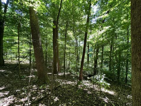 2925 Fox Court E Martinsville IN 46151