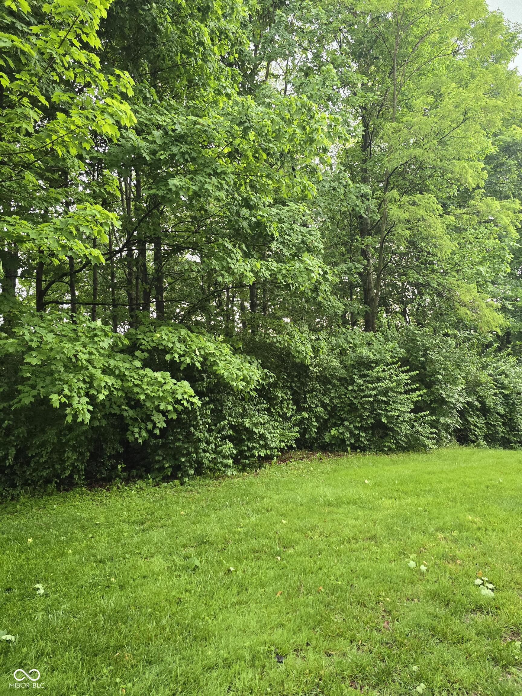 9895 Irishmans Run Lane Zionsville IN 46077