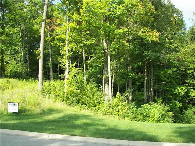 7420 Creekbed Lane Indianapolis IN 46256