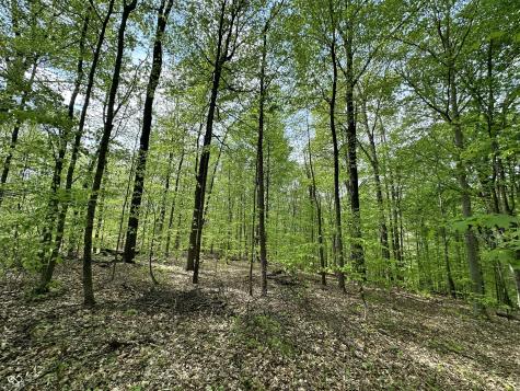 2039 S Austin Court Martinsville IN 46151
