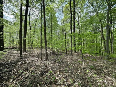 2039 S Austin Court Martinsville IN 46151