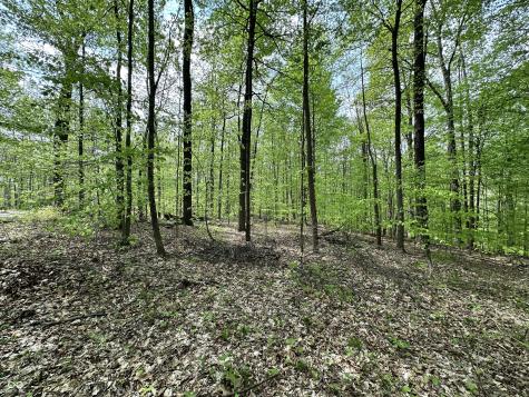 2039 S Austin Court Martinsville IN 46151