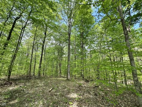 2039 S Austin Court Martinsville IN 46151