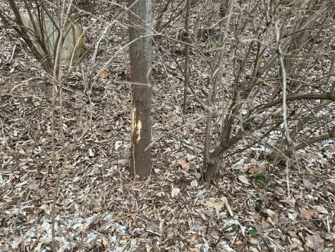 0 N Gray Road Mooresville IN 46158