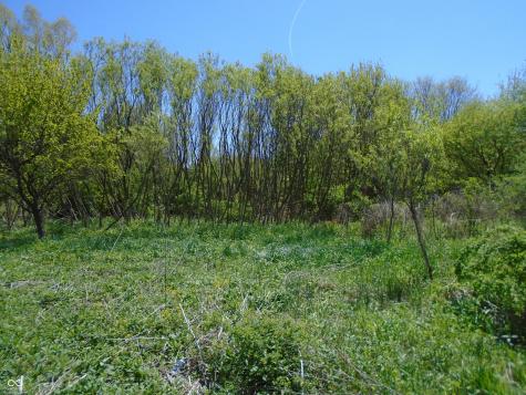 500 S County Road 100 W Clayton IN 46118
