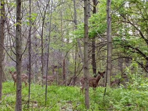 Lot 253 Ottawa Circle Crawfordsville IN 47933