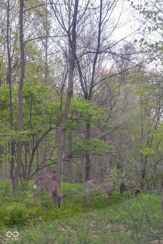 Lot 253 Ottawa Circle Crawfordsville IN 47933