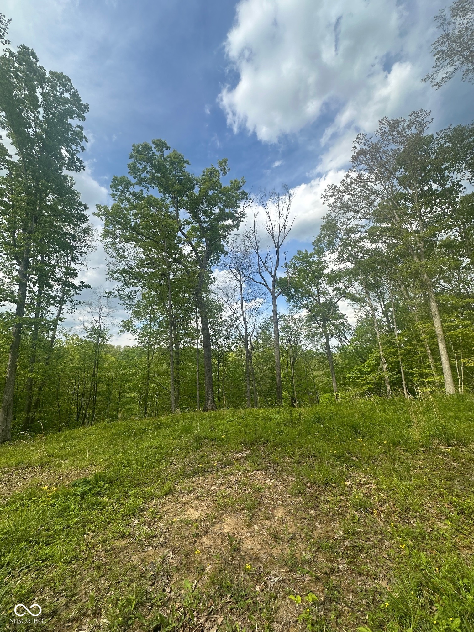 0 N Lasalle Road Morgantown IN 46160