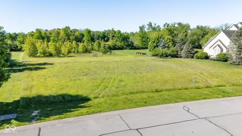 9335 Pleasant View Lane Zionsville IN 46077