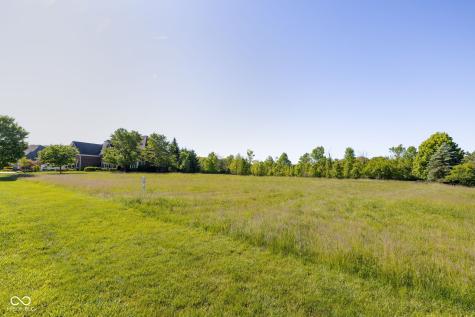 9335 Pleasant View Lane Zionsville IN 46077