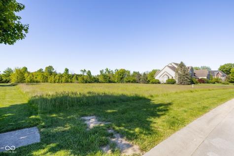 9335 Pleasant View Lane Zionsville IN 46077