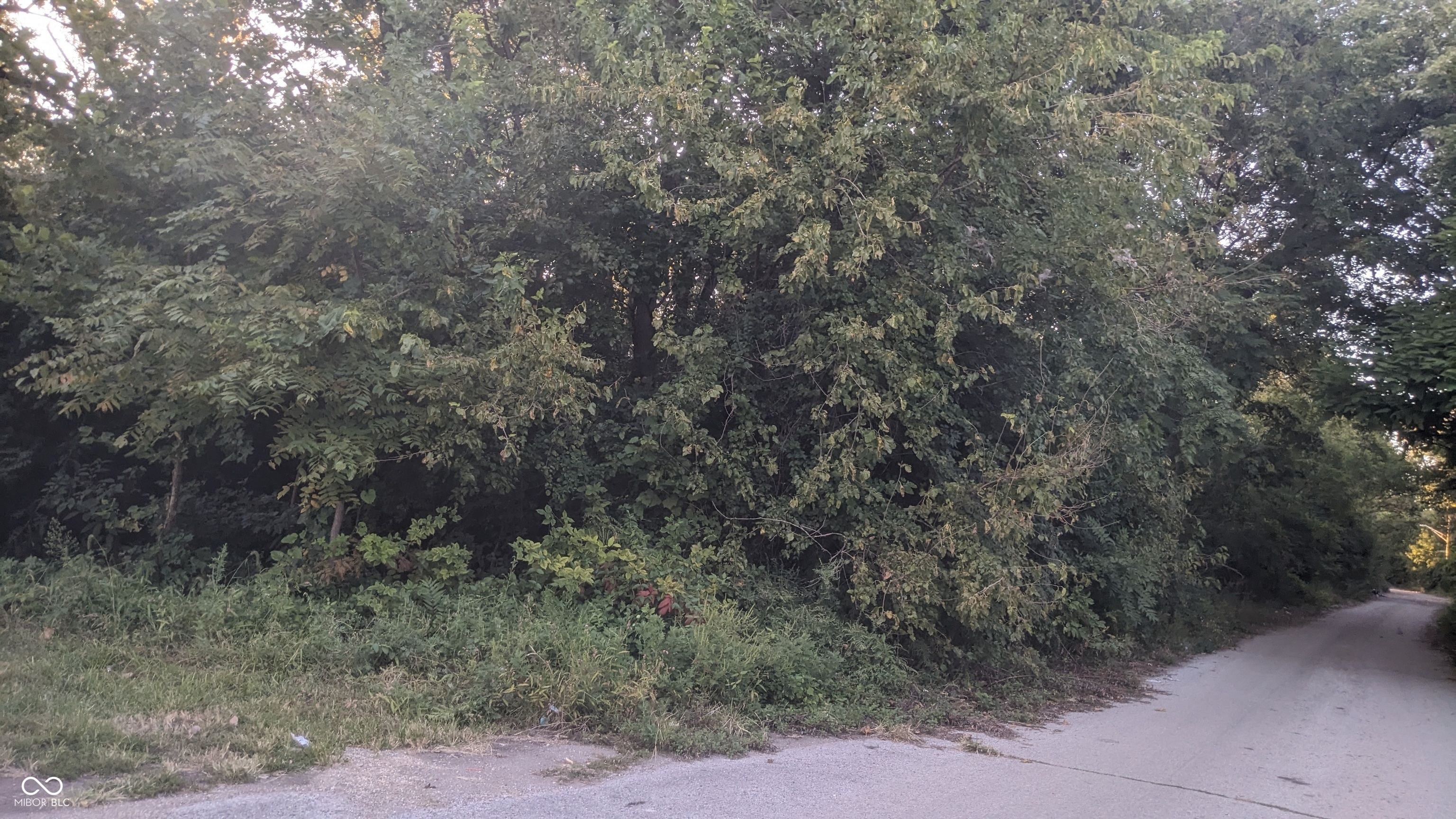 1544 Perkins Avenue Indianapolis IN 46203