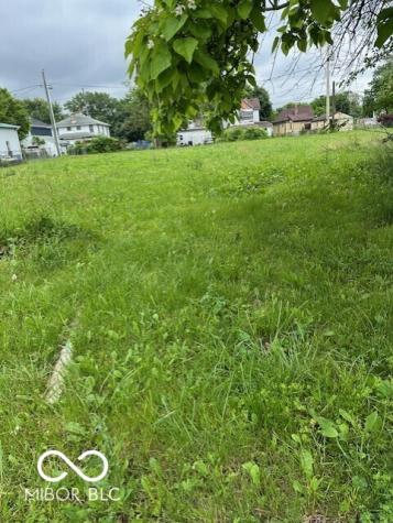 1617 Drive Andrew J Brown Avenue Indianapolis IN 46202
