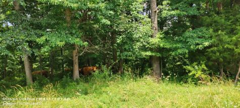 11182 S County Road 280 W Westport IN 47283