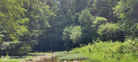 11182 S County Road 280 W Westport IN 47283