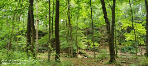 11182 S County Road 280 W Westport IN 47283