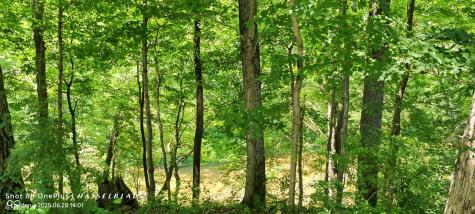 11182 S County Road 280 W Westport IN 47283