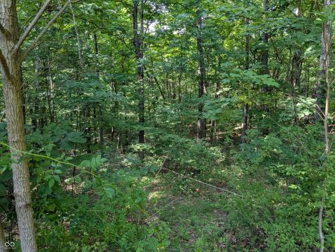 7594 W County Road 925 N Freetown IN 47235