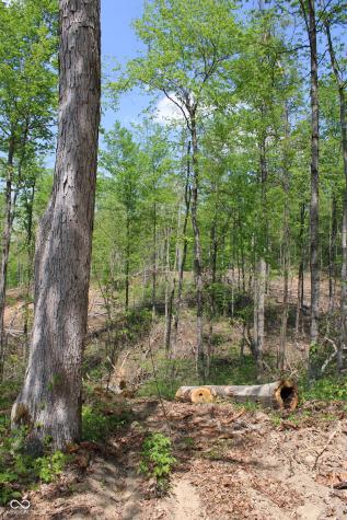 Tract 3: 0 N County Road 555 E Butlerville IN 47265
