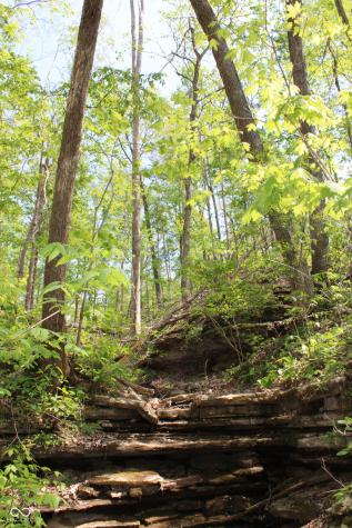 Tract 3: 0 N County Road 555 E Butlerville IN 47265