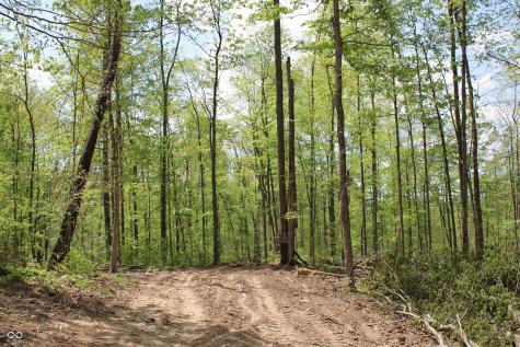 Tract 3: 0 N County Road 555 E Butlerville IN 47265