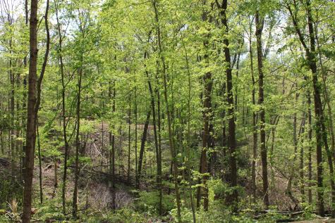 Tract 3: 0 N County Road 555 E Butlerville IN 47265
