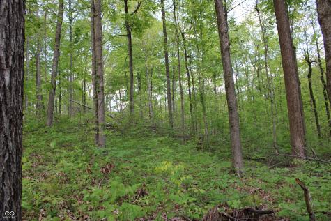 Tract 3: 0 N County Road 555 E Butlerville IN 47265