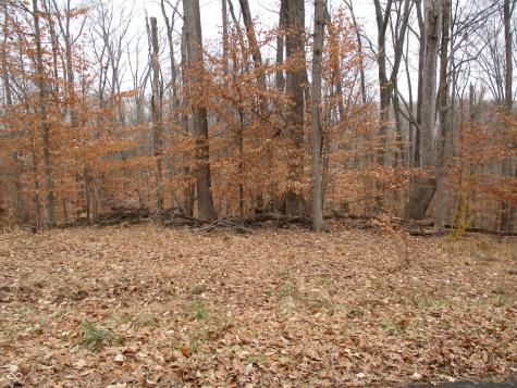 0 Glenwood East Drive Martinsville IN 46151