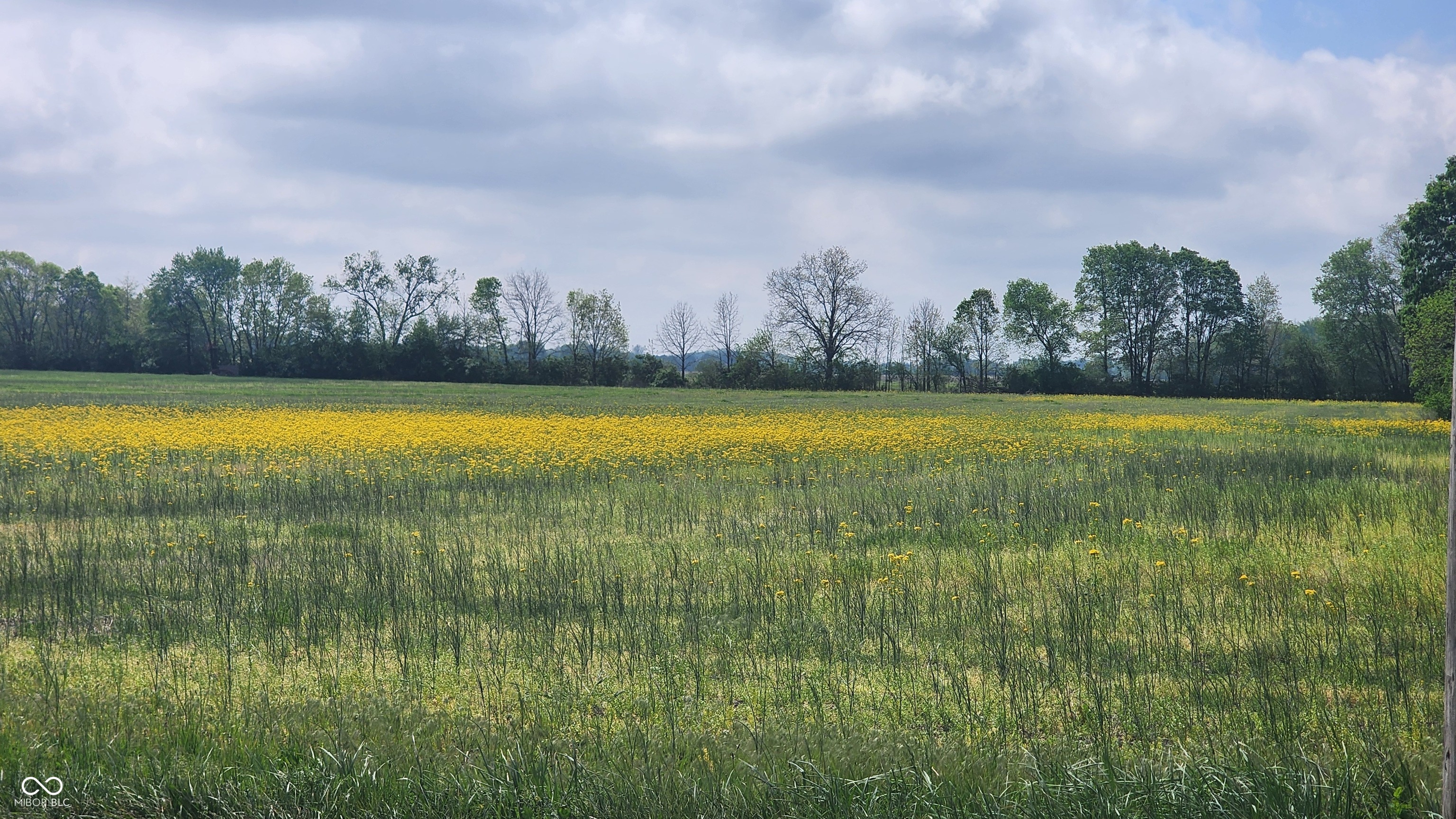 0 W 500 N Whiteland IN 46184