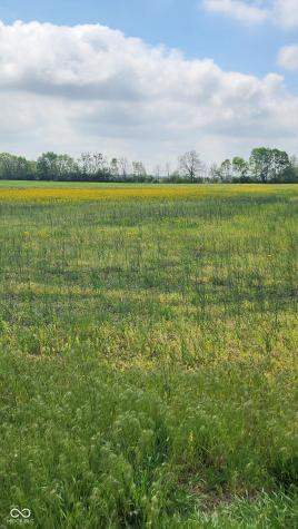 0 W 500 N Whiteland IN 46184