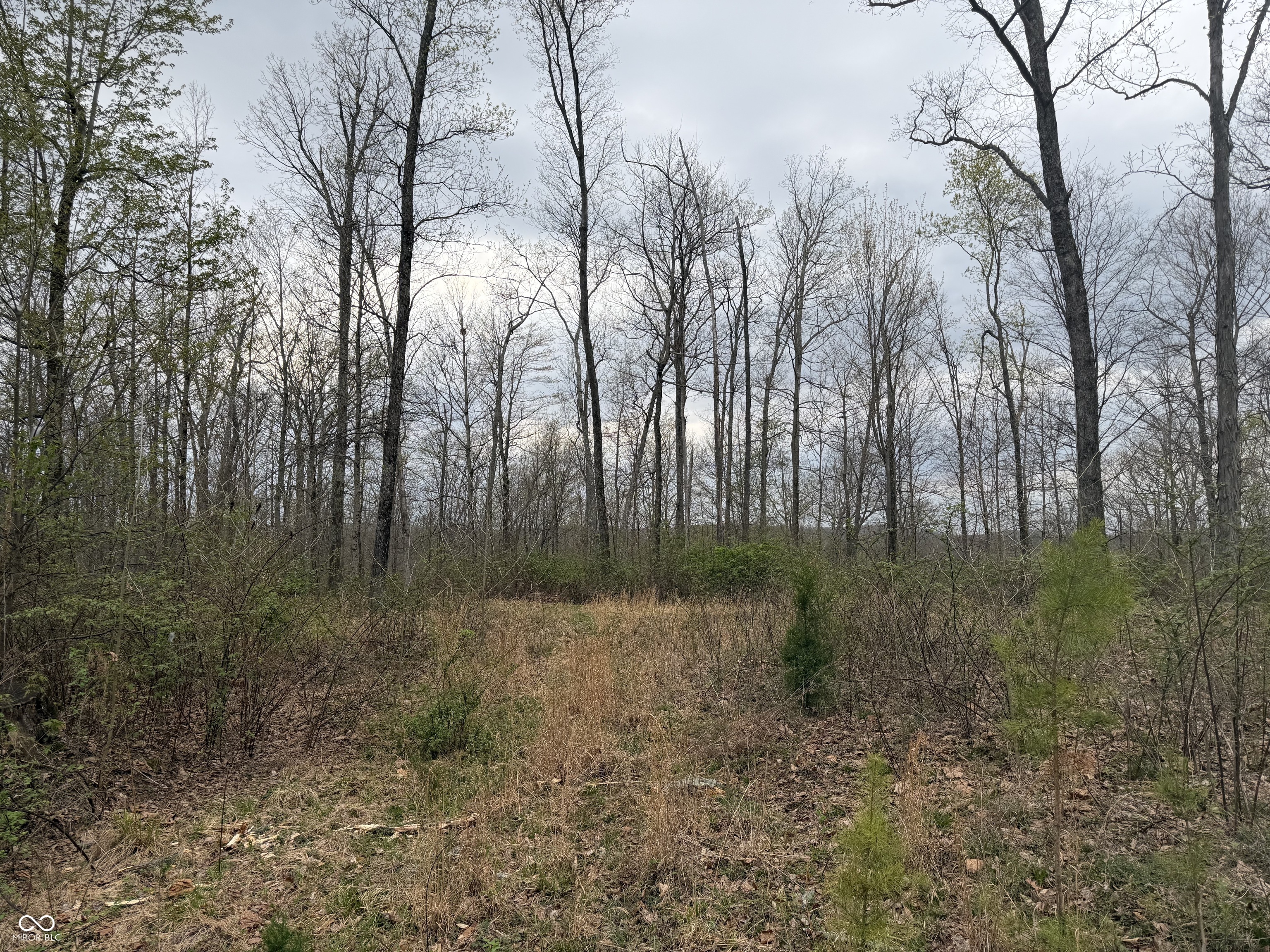 9000 N County Road 525 W Freetown IN 47235
