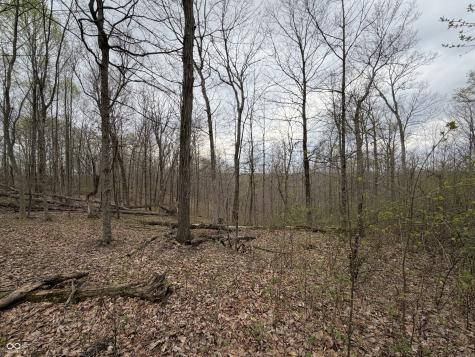 9000 N County Road 525 W Freetown IN 47235
