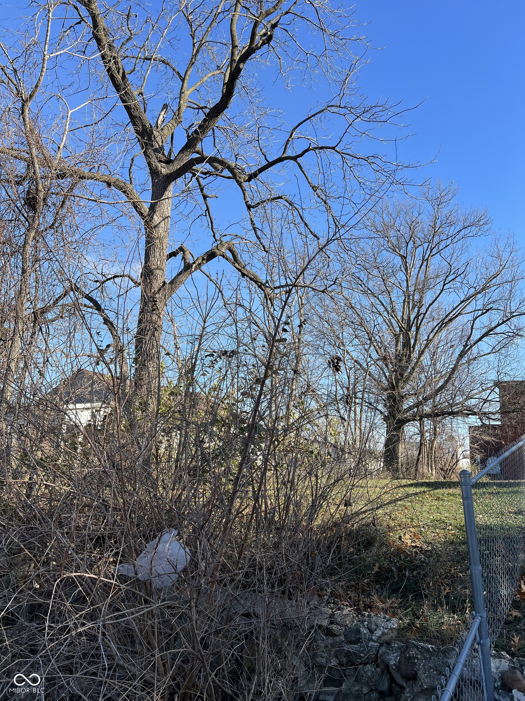 2057 Caroline Avenue Indianapolis IN 46218