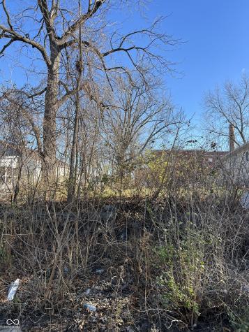 2057 Caroline Avenue Indianapolis IN 46218