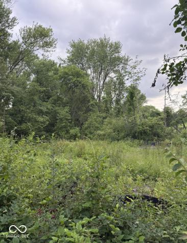 2972 Opal Street Indianapolis IN 46268
