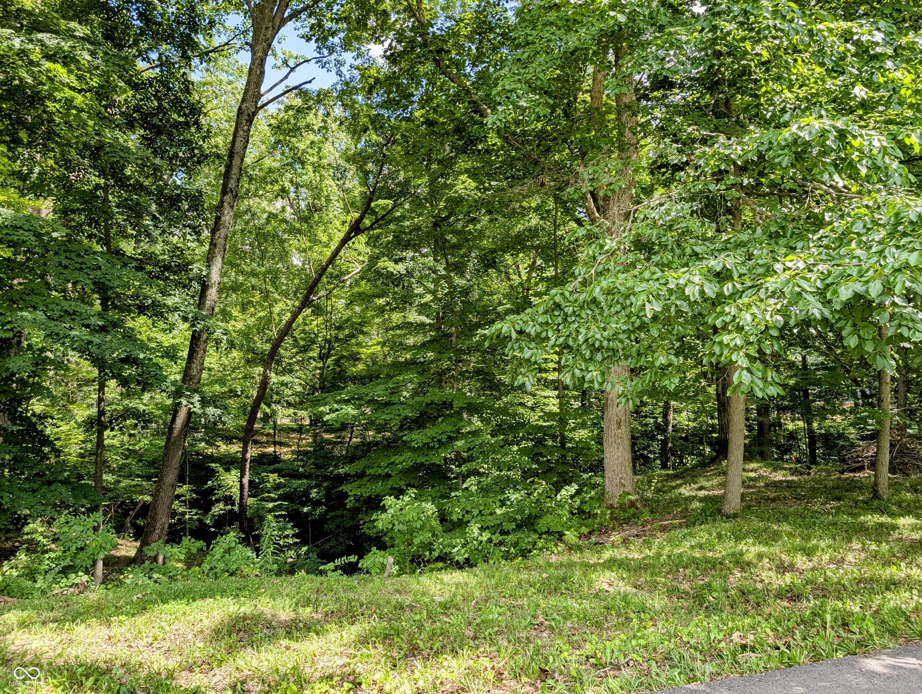 0 S Cove Road Martinsville IN 46151