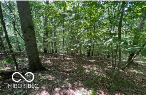 0 Cherry Court Martinsville IN 46151